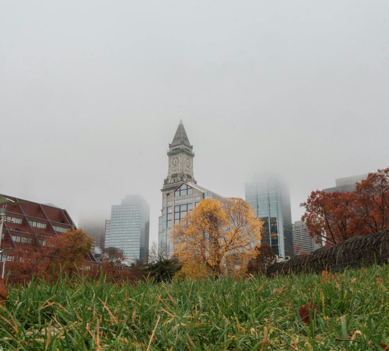 Conservação do jardim e áreas externas